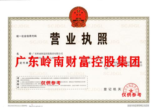 推薦 省冠名 廣東嶺南財富控股集團公司 從事各類項目投資 布局粵港澳大灣區(qū)