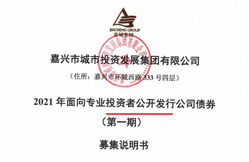 嘉城集團(tuán)擬發(fā)行15億公司債券 存盈利對(duì)政府補(bǔ)助依賴較高風(fēng)險(xiǎn)